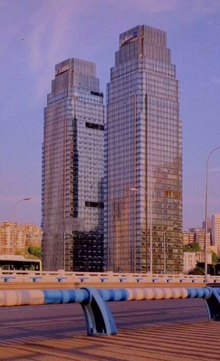 第十九章 蔚派國際 全球化浪潮下的戰略抉擇